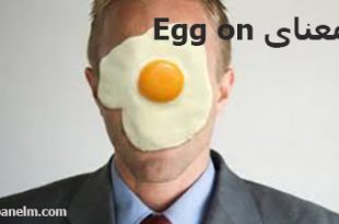 معنی egg on