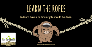معنی learn the ropes