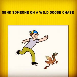 معنی wild goose chase