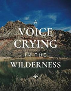 معنی a voice crying in the wilderness