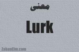 معنی lurk در زبان انگلیسی