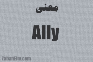 معنی ally در زبان انگلیسی