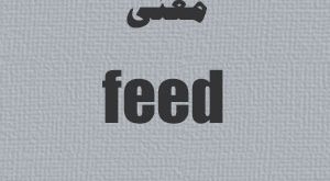 معنی feed