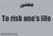 معنی to risk life
