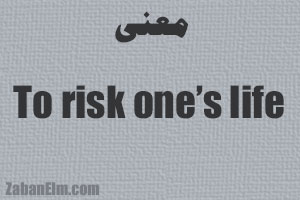 معنی to risk life