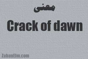 معنی crack of dawn